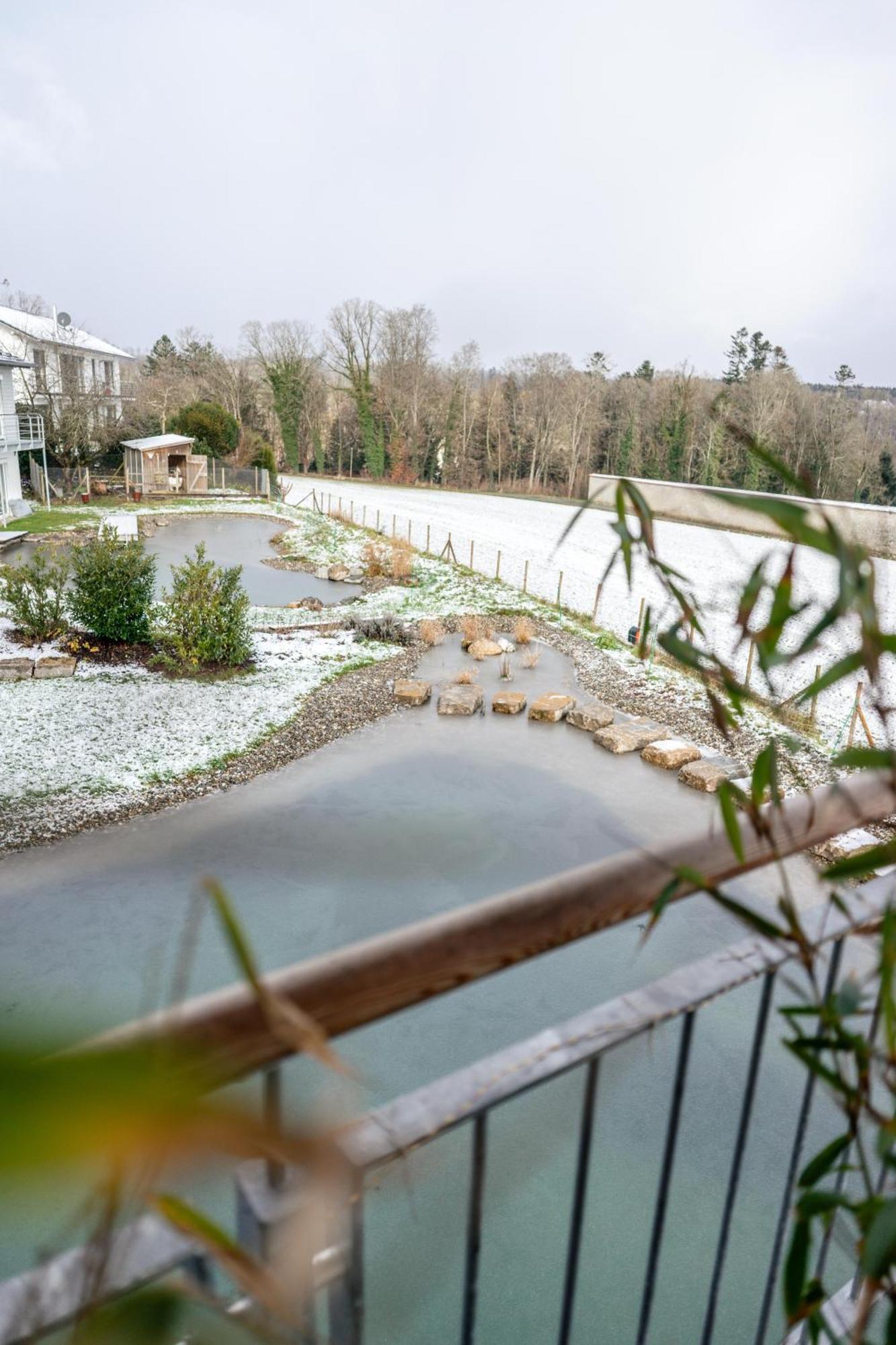 Klosterblick - Inzigkofen Bagian luar foto