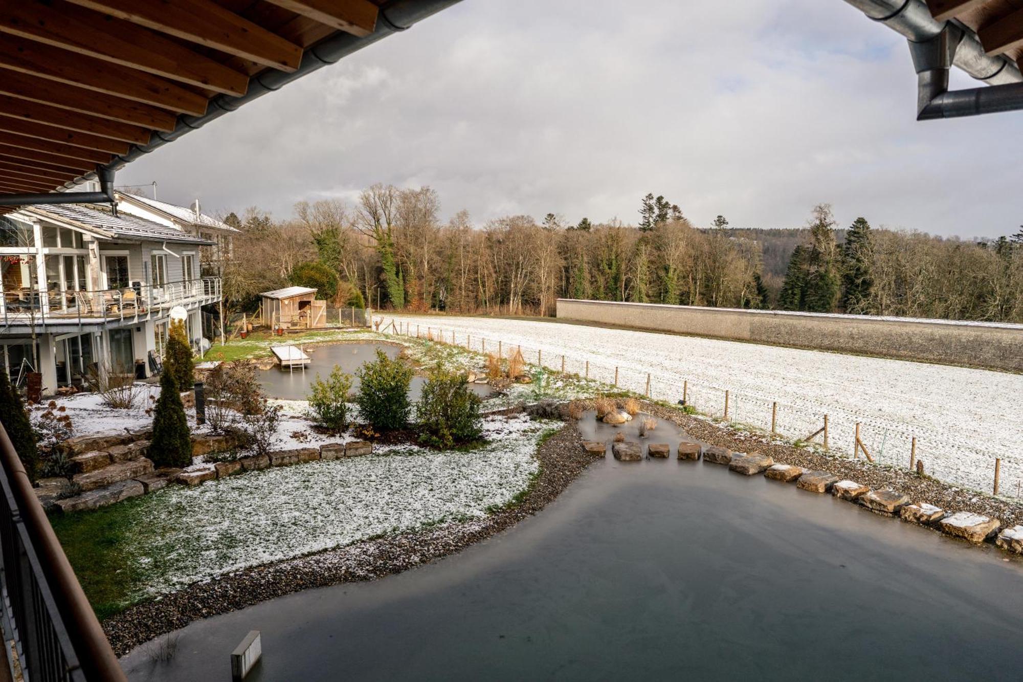 Klosterblick - Inzigkofen Bagian luar foto